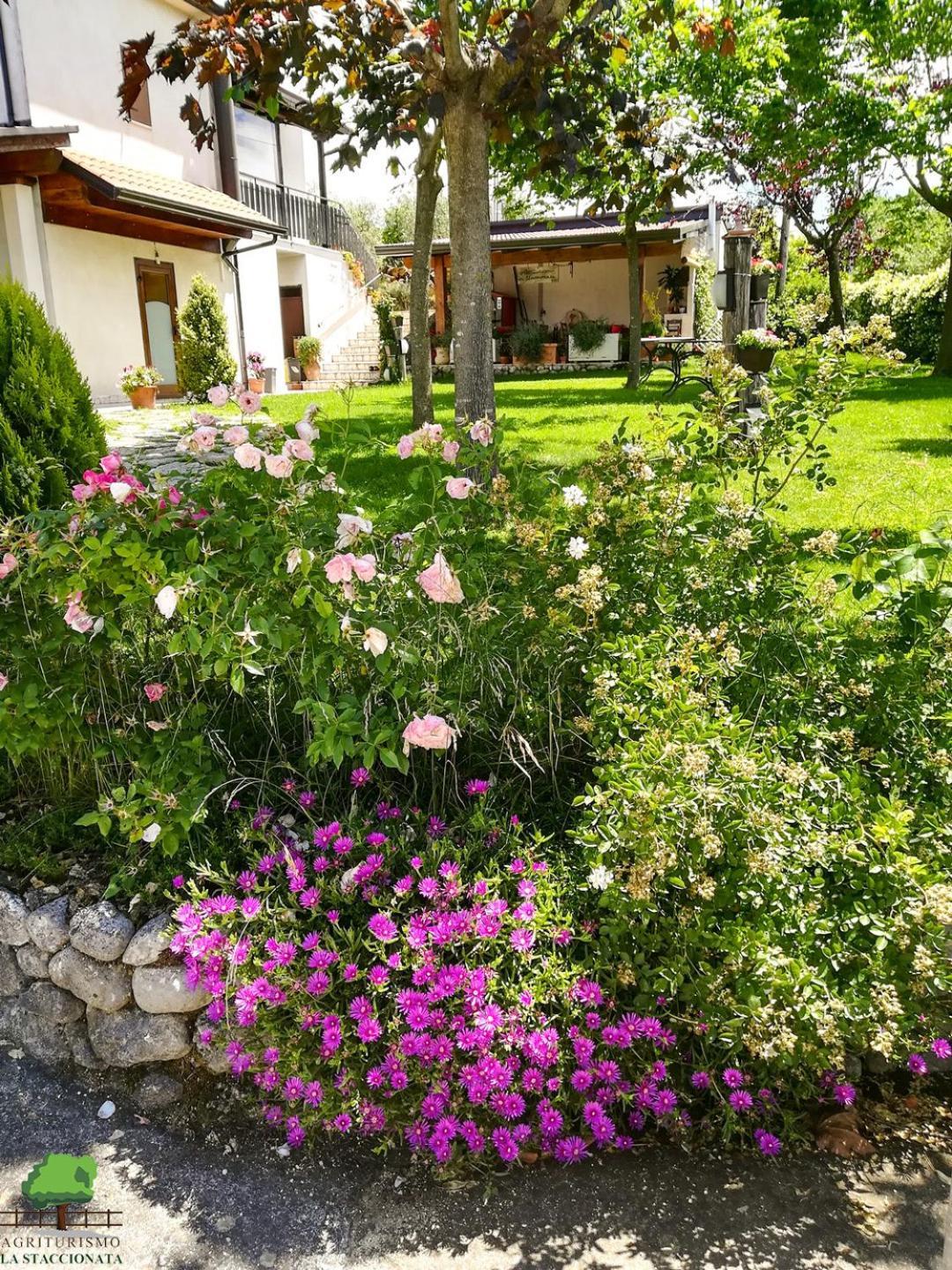 La Staccionata Villa Arpino Luaran gambar